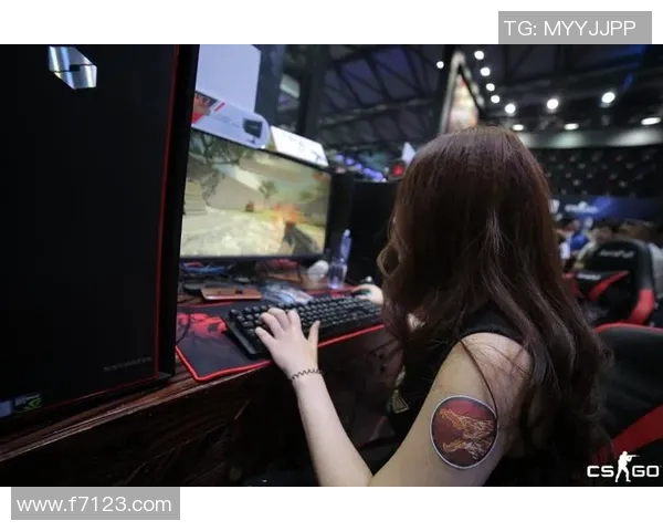 深度探讨赵静在CSGO世界中的成长与挑战之路